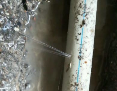 綦江测漏水哪家好