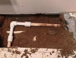 綦江测漏水哪家好