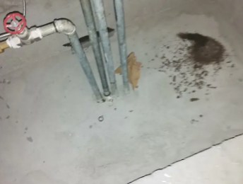 綦江卫生间测漏水价格明细