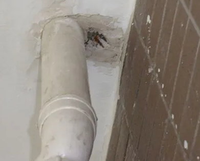 綦江漏水检测哪家好